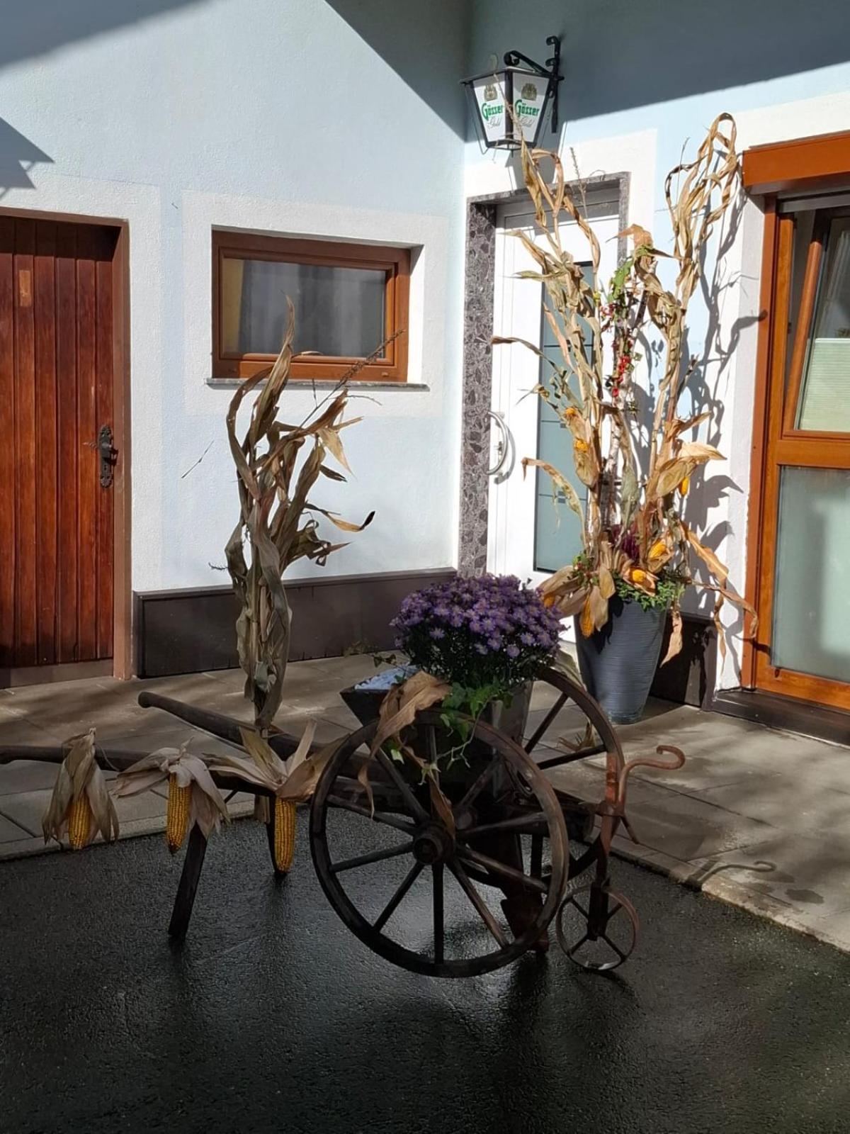 Ferienwohnung Heiabett Wies Dış mekan fotoğraf