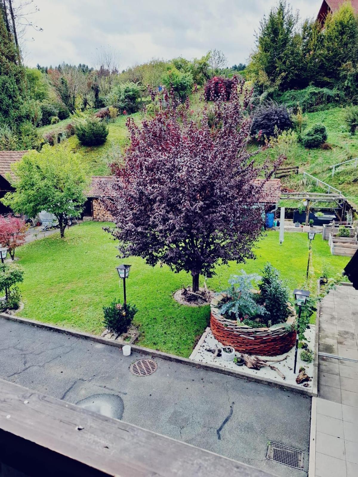 Ferienwohnung Heiabett Wies Dış mekan fotoğraf